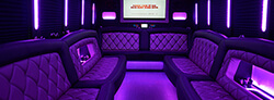 30 passenger limo bus